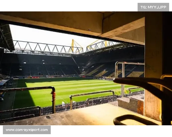 多特蒙德主场信号伊杜纳公园草皮系统升级完成 多特蒙德主场信号伊杜纳公园草皮系统升级完成